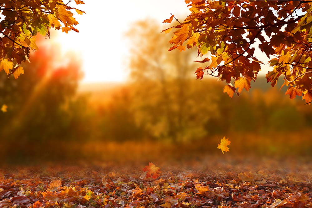 Autumn Statement – Good news for savers as changes to ISAs announced