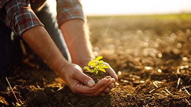 Going green – The financial benefits of investing in a cleaner future