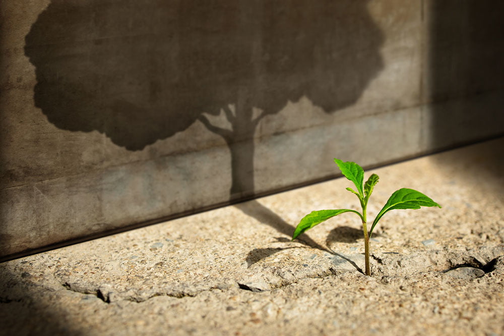 UK consumers grow more confident in personal finances: A sign of economic recovery?