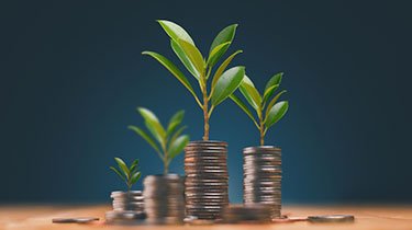 Family Investment Companies – Are they right for you?