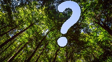 Beware of “greenwashing” when investing your cash